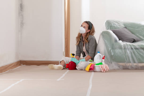 Reliable Mold Remediation contractor in Fredericksburg, TX by WQB Mold Removal